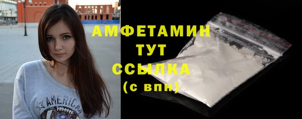 прущие грибы Бежецк