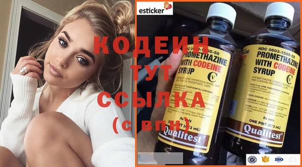 гашик Медвежьегорск