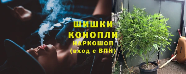 гашик Медвежьегорск