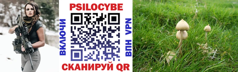 Галлюциногенные грибы мухоморы  гидра вход  Йошкар-Ола 