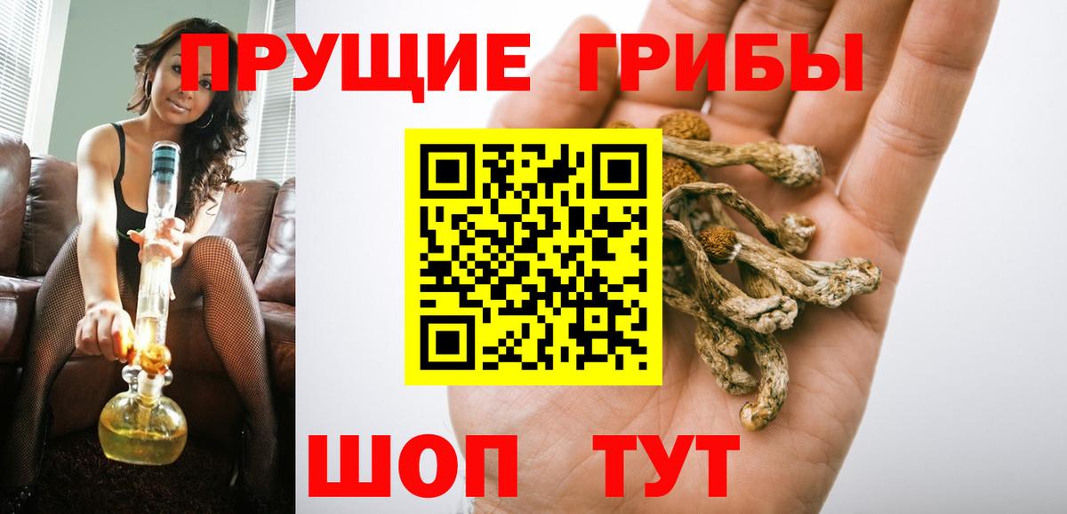 Йошкар-Ола  Галлюциногенные грибы прущие грибы  Вход с VPN 