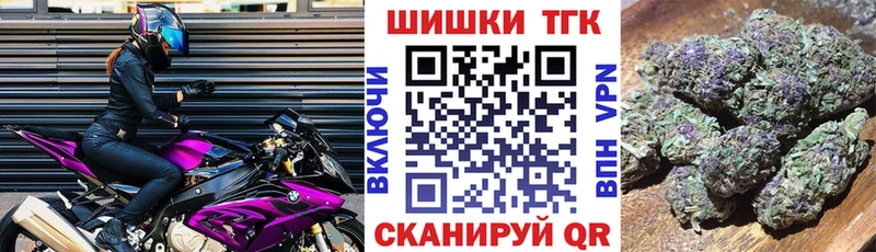 Конопля сатива Йошкар-Ола